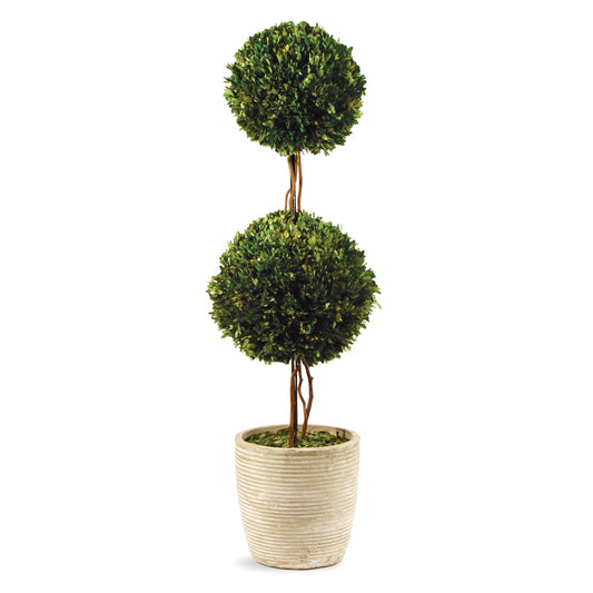 Double Sphere Topiary 28